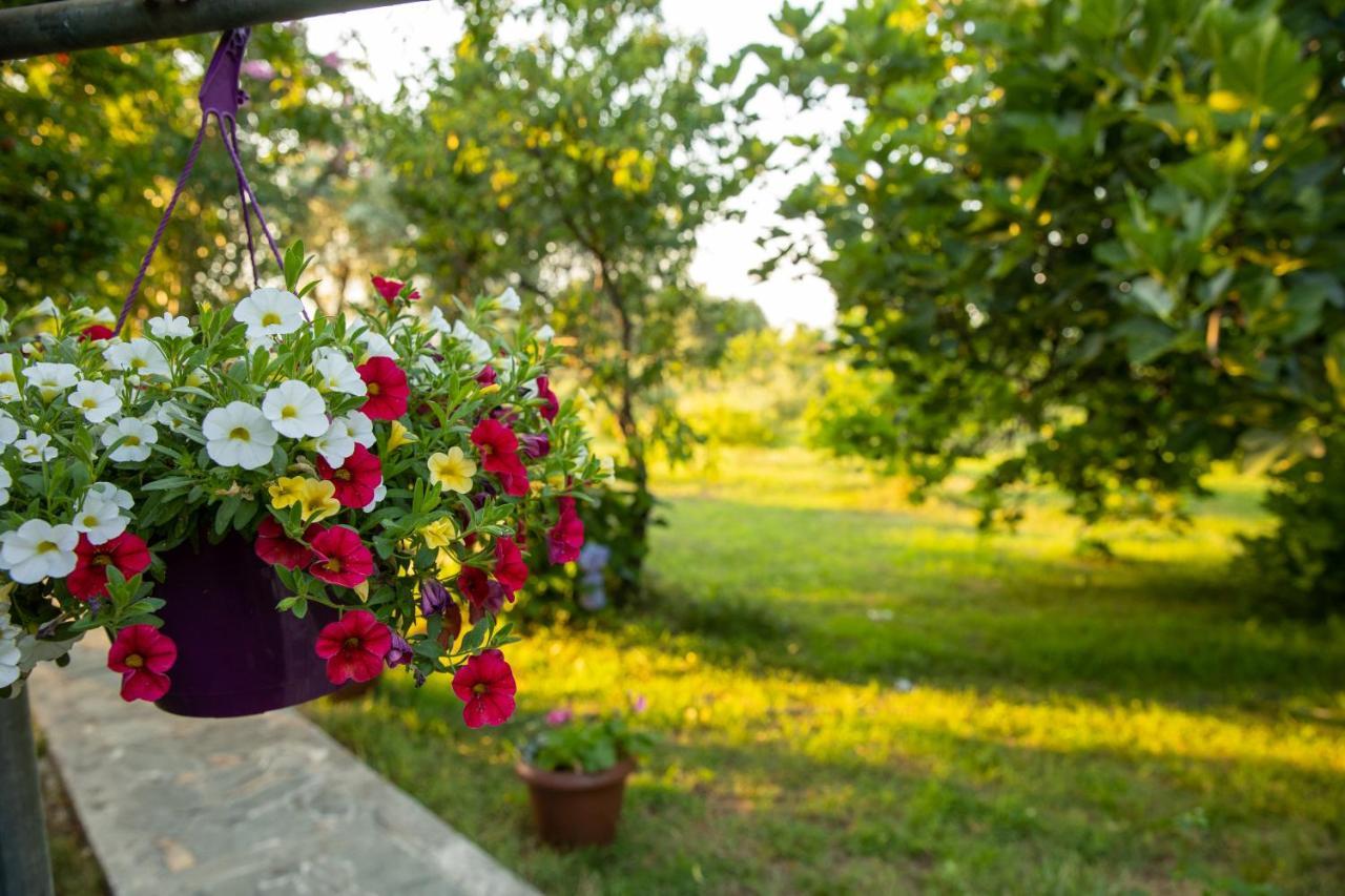 Alekas Studios Терма Екстериор снимка